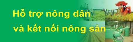 Thông tin liên kết
