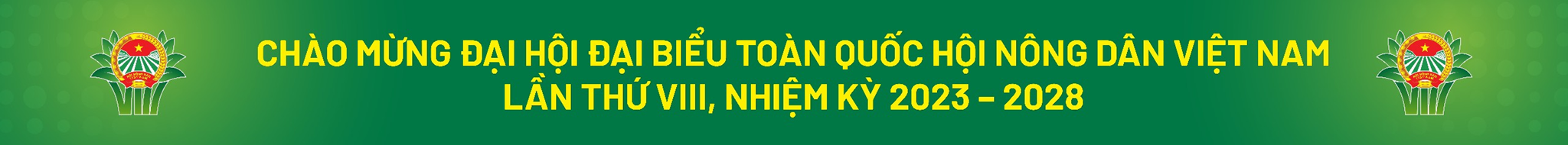 Thông tin liên kết